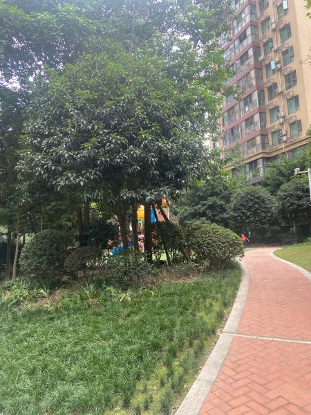 金色春天,岷江大道中段888号-眉山金色春天二手房,租房,房价-眉山安居