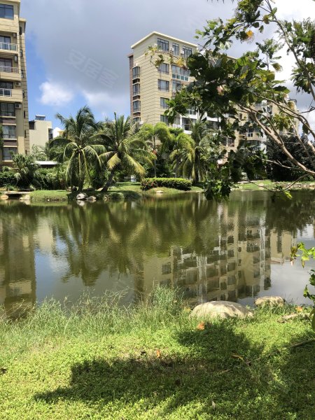 金元椰景蓝岸,凤凰路1号-三亚金元椰景蓝岸二手房,租房,房价-三亚安居