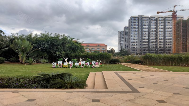 金岛国际(二期),龙昆南路,近梧桐路-海口金岛国际(二期)二手房,租房