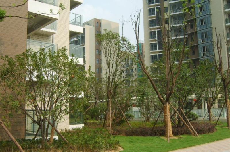 丽晶国际,石头城117号-南京丽晶国际二手房,租房,房价-南京安居客