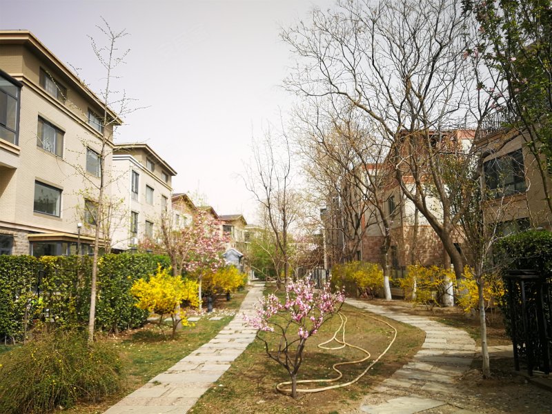 康城花园别墅,双桥东路9号-北京康城花园别墅二手房,租房,房价-北京