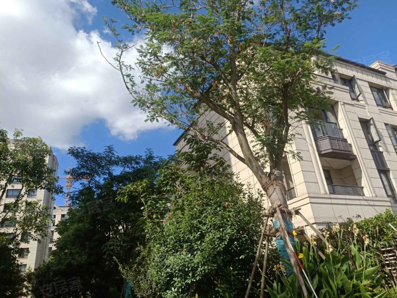 森兰名轩(二期) 