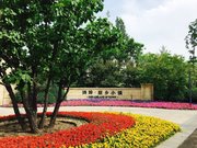 大白街小区图片