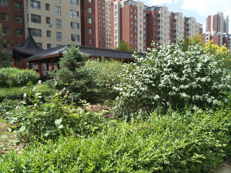 凤凰新城,海拉尔大街35号-呼和浩特凤凰新城二手房,租房,房价