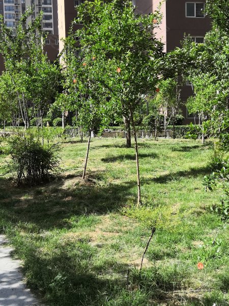 瑞祥花园(金水),索凌路9号-郑州瑞祥花园(金水)二手房,租房,房价-郑州