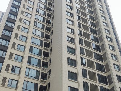 合景誉峰(二期),公园西路,近兰桂大道 - 重庆合景誉峰(二期)二手房