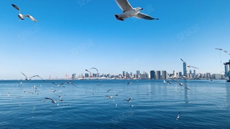 远洋保利悦和山海