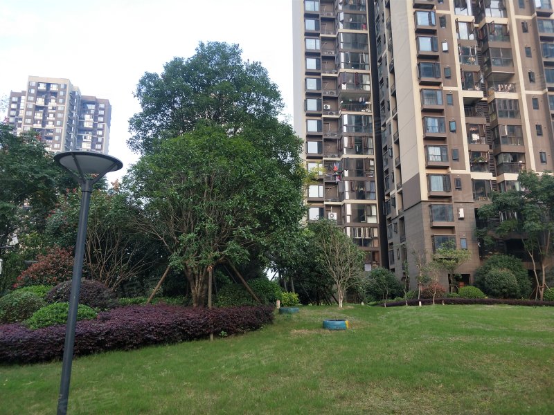 万科金域蓝湾,晚报大道569号-长沙万科金域蓝湾二手房,租房,房价-长沙