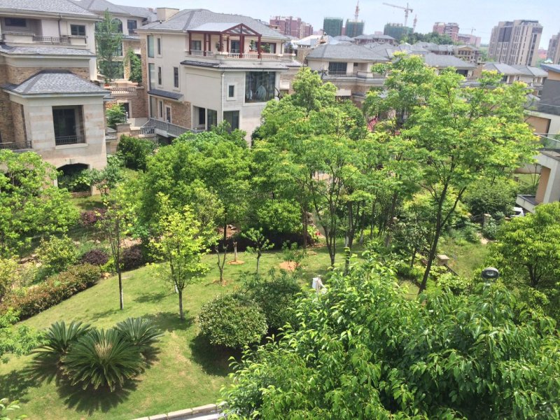 龙湾国际社区(别墅)