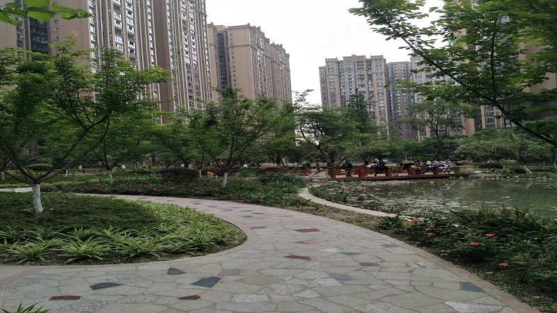 圣采泊尚,敬成路501号-成都圣采泊尚二手房,租房,房价-成都安居客