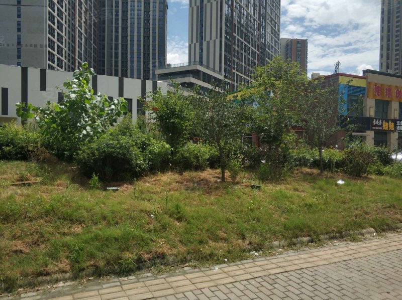 苏宁天御商业广场(商住楼),凤宾路-无锡苏宁天御商业广场(商住楼)二手