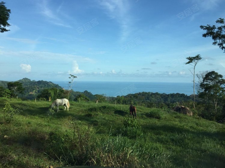 哥斯达黎加约¥5752万超越比较发展机遇 - 102英亩的神奇土地二手房土地图片