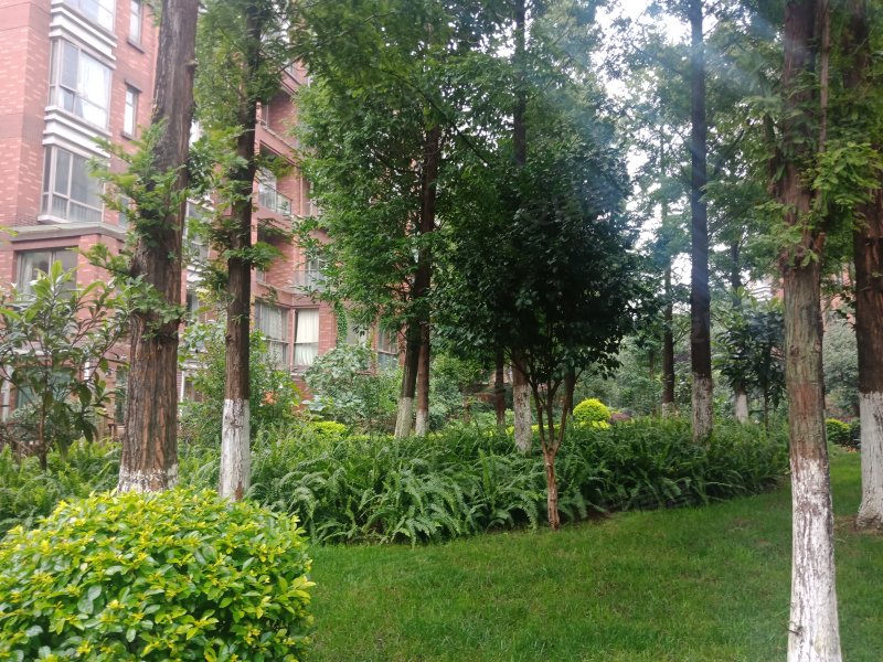 鑫益龙江雅苑,北京路2196号-达州鑫益龙江雅苑二手房,租房,房价-达州