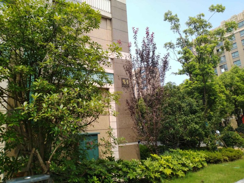 月亮湾3号美颂花园叁期,八达街99号-苏州月亮湾3号美颂花园叁期二手房