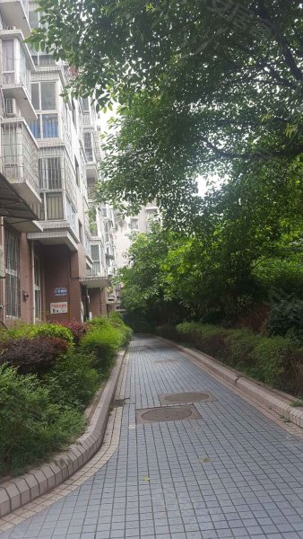 瑞龙凤祥花园,红土地68号-重庆瑞龙凤祥花园二手房,租房,房价-重庆