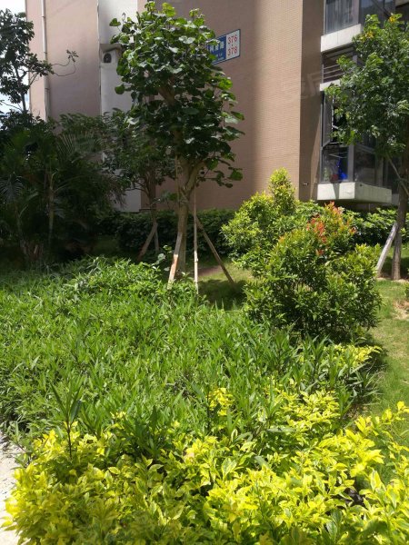 源泉山庄c区,柯厝路362-378号-厦门源泉山庄c区二手房,租房,房价-厦门