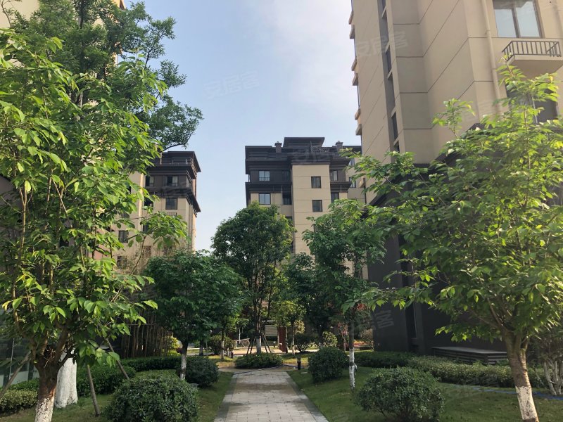 东骏华府,来安大道,近新城大道