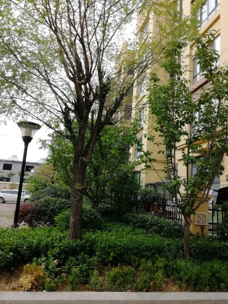 康桥公馆,通达南路,近湖北路-临沂康桥公馆二手房,租房,房价-临沂安居