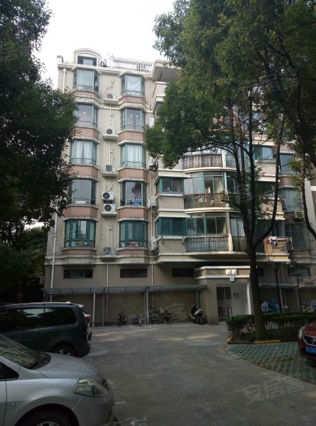 龙柏三村新悦公寓 