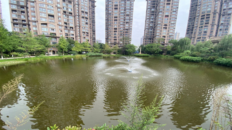 温江鹭湖宫11区图片