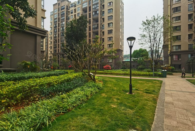 公园一号,茶苑路,近龙生路-普洱公园一号二手房,租房,房价-普洱安居客