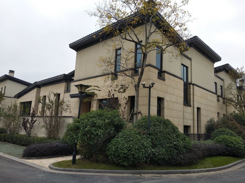 中天珺府(别墅),科技大道2988号-杭州中天珺府(别墅)二手房,租房,房价