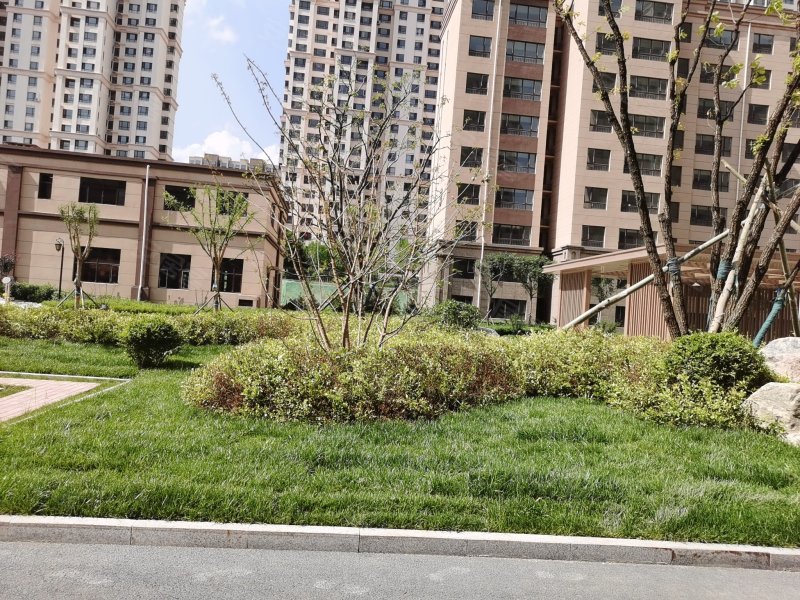 悦城帝景,鸿雁路-大同悦城帝景二手房,租房,房价-大同安居客