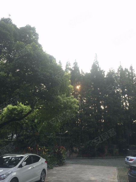 海江新村(东区) 