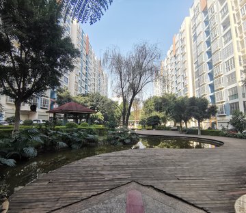 明珠家天下