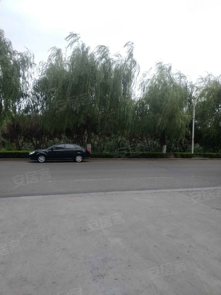 教授花园(沂水,沂河大道82号-临沂教授花园(沂水)二手房,租房,房价