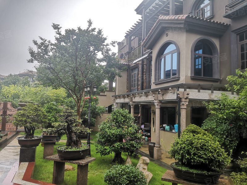 托莱多佩德拉萨