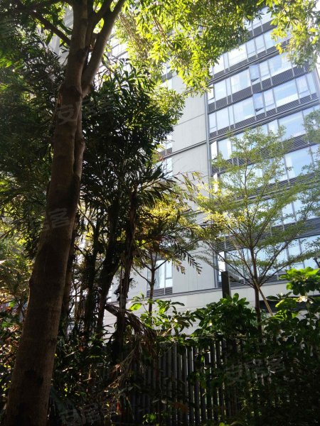 燕晗山苑,香山东街8号-深圳燕晗山苑二手房,租房,房价-深圳安居客