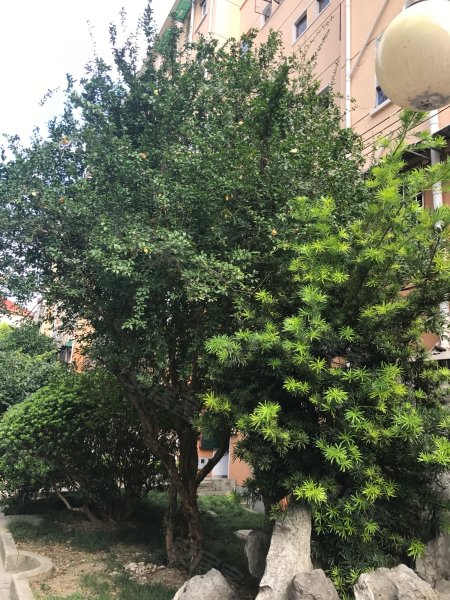 航华三村三街坊 