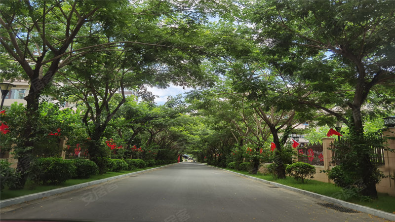 海棠花开,神泉大道-三亚海棠花开二手房,租房,房价-三亚安居客