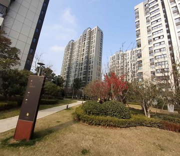 仁恒绿洲新岛三期江枫园 3室2厅2卫