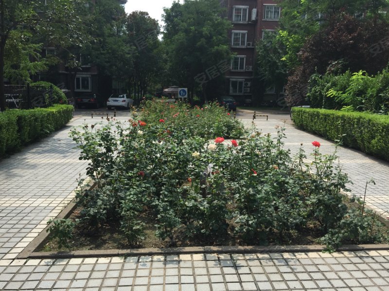 美丽园,美丽园路-北京美丽园二手房,租房,房价-北京安居客