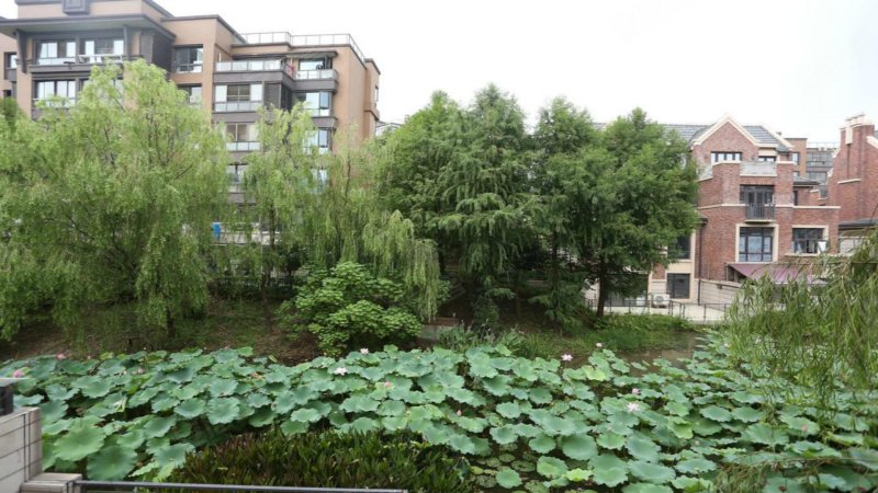 招商雍华苑(别墅)