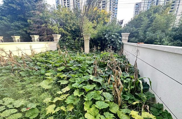 汉都九号院3室2厅90㎡62万二手房图片