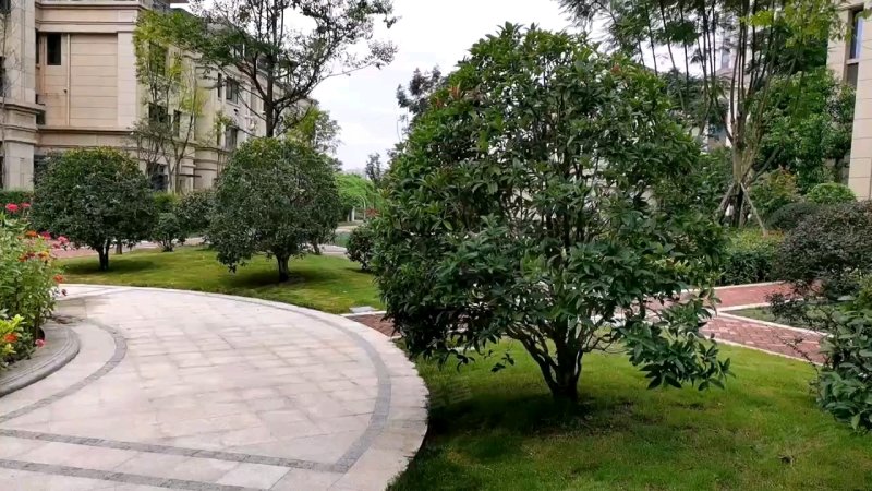 麓峰棕榈岛,仁寿大道二段-眉山麓峰棕榈岛二手房,租房,房价-眉山安居