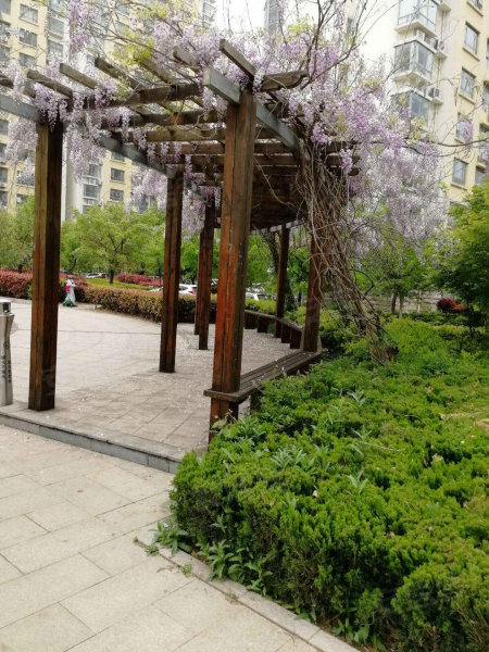 金叶花园(兰山)