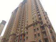 梧桐年华,2020年交房新小区,满三满二,南北通透3居室