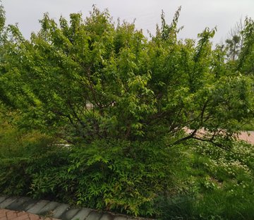 后宰门西村21号小区