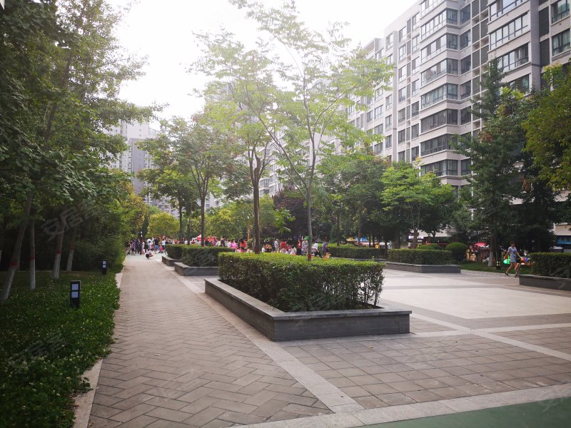 金泰假日花城北区