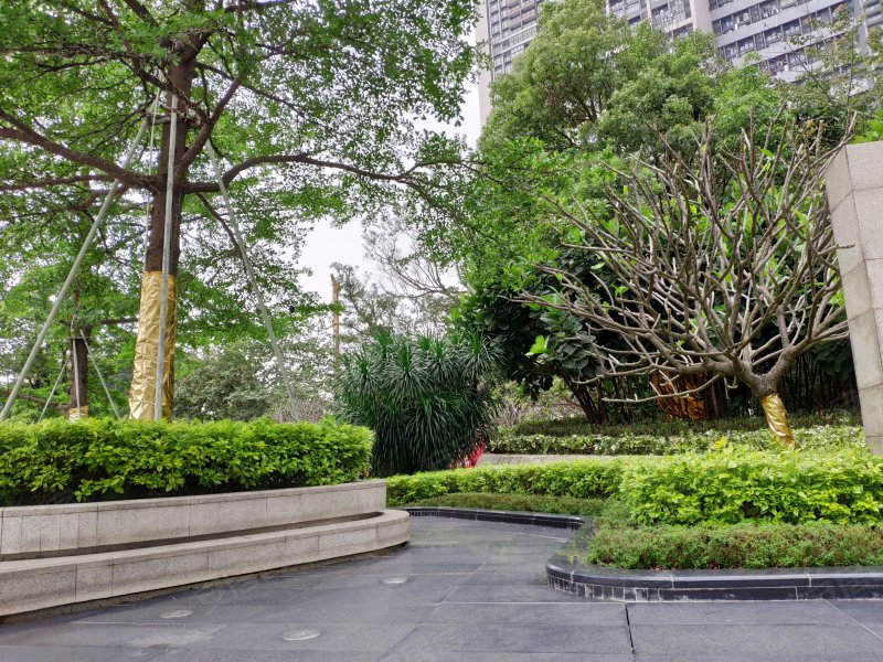 南浦桔树村,浦华路-广州南浦桔树村二手房,租房,房价-广州安居客