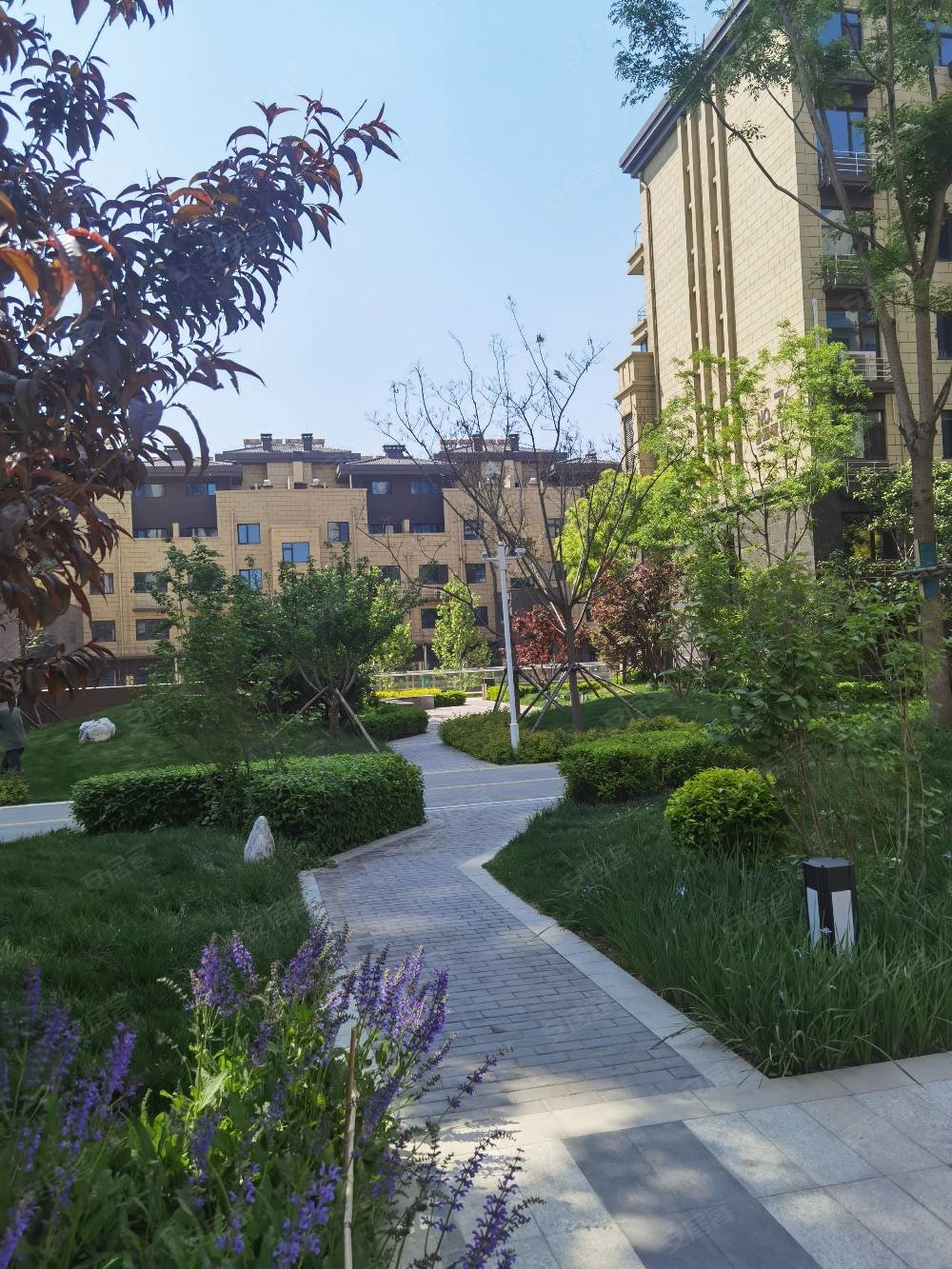 尚豪国际城高品质小区,现房,好楼层先到先得,别墅洋房小高层!