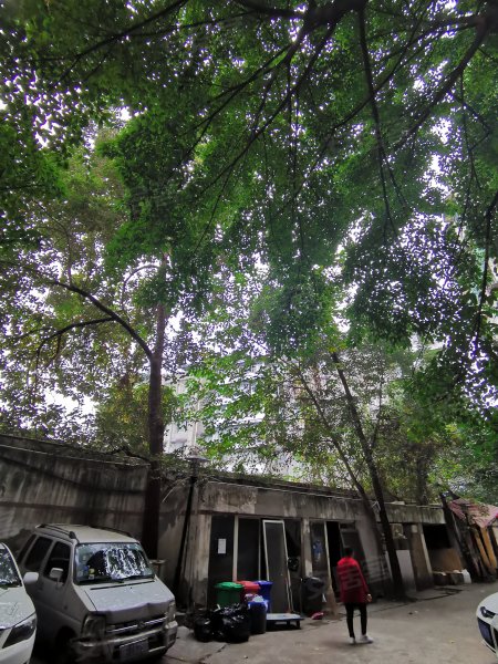 燃灯寺东街30号院