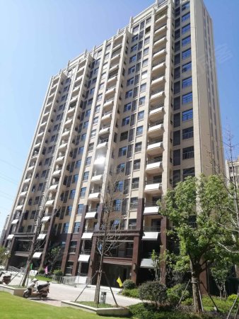 保利和府 庐江首座央企 自持物业 近地铁 电梯房 南北通透