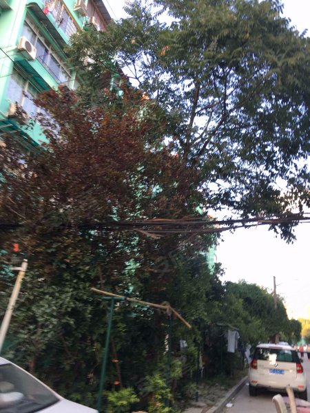 逸仙二村(东区) 