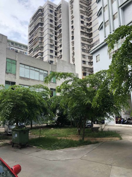 嘉华大厦,嘉华路6号-海口嘉华大厦二手房,租房,房价-海口安居客