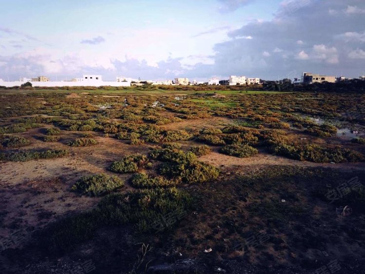 突尼斯约¥769万Sulayman, Tunisia Plot of land在售 100.45 万欧元二手房土地图片